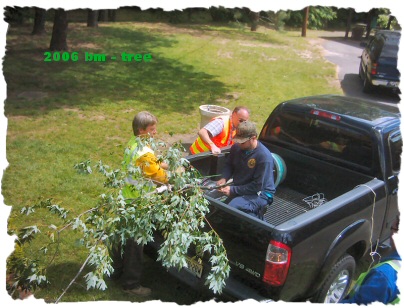 Park crew un tie the tree from truck